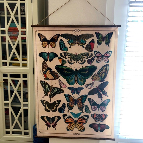 Cost Plus World Market Other - Large butterfly wall hanging